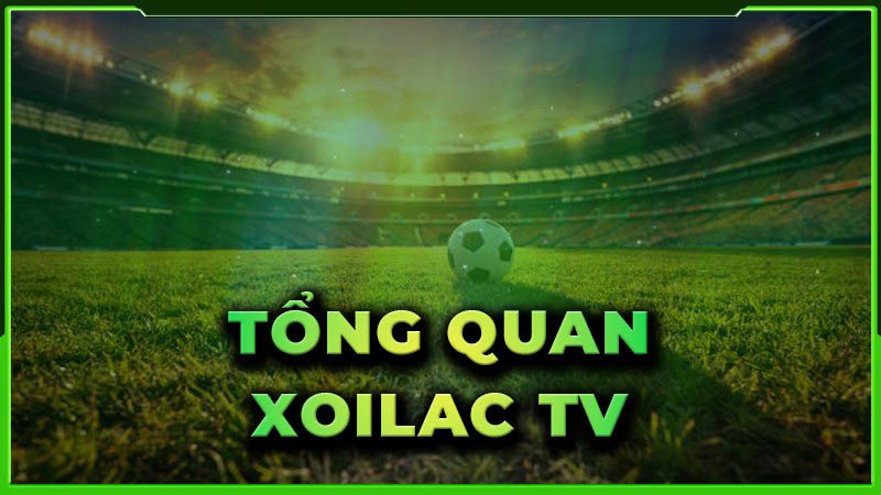 Tìm hiểu Xoilac TV là gì? Sơ lược về nền tảng Xôi Lạc